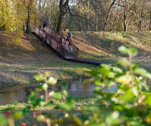 Park Ludowy w listopadowej odsłonie!