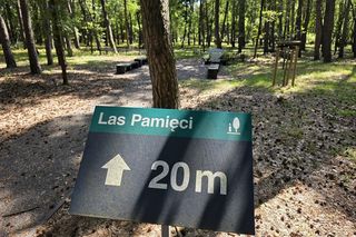 Łąka pamięci – nowy sposób pochówku, który może powstać w Lesznie