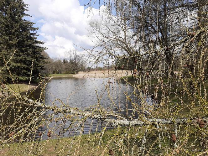 Łódzki Ogród Botaniczny obchodzi 50-lecie. To miejsce rozkwita i czeka na gości