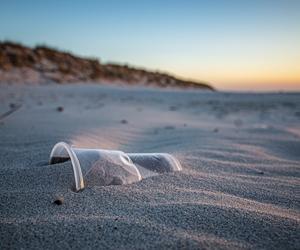 Ilość śmieci na plażach poraża. Miasto wylicza, ile sprzątnęli odpadów w tym roku