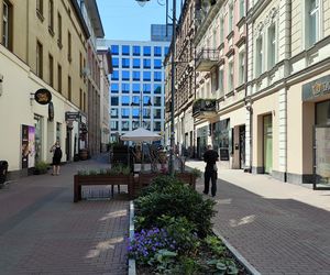 Katowice jak patelnia. Obowiązuje ruch cieniostronny. Nawet gołębie chowają się w cieniu
