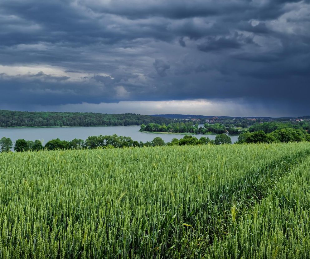 Mazury
