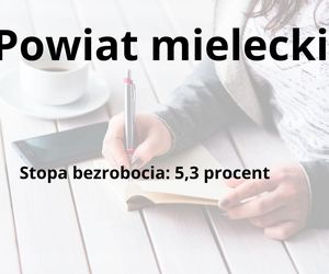 W tych powiatach na Podkarpaciu bezrobocie jest najniższe 