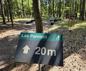 Leszno może mieć łąkę pamięci. Nowa, ekologiczna forma pochówku bez nagrobków