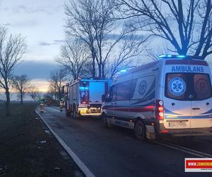 Poważny wypadek drogowy w Gustawowie. Auto roztrzaskało się na drzewie