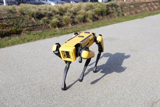 Gratka dla fanów technologii. W Warszawie pojawił się pies-robot od Boston Dynamics