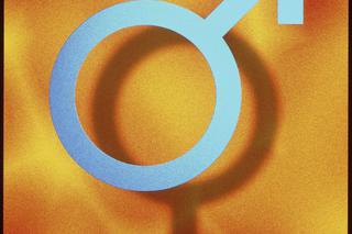 Transseksualizm, Transseksualista, 