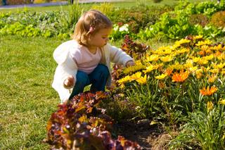 Jak urządzić ogród dla dzieci