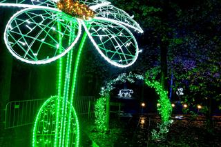Spektakl światła, dźwięku i... ognia w Lumina Park w Bydgoszczy. Zobaczcie, jak tam magicznie!