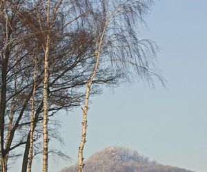 Ostrzyca Proboszczowicka, nazywana Śląską Fujiyamą