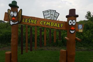 Plaża miejska w Będzinie