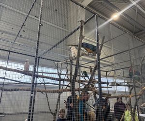 ZooPark w Lublinie. Dzień drugi