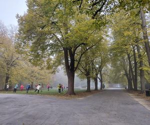 Zamojski Park jesienią