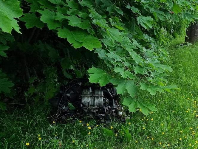 Śmiertelny wypadek w Bratoszewicach. Opel rozbił się o drzewo. Nie żyje 32-latek [ZDJĘCIA]