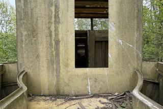 Kuter odnaleziony w środku lasu pod Gliwicami