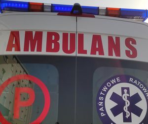 Dwa agresywne psy zaatakowały 13-latka. Wszystko przez proszek do prania?