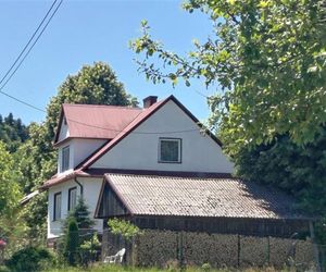 Ruszyły zbiórki dla Poli. „Pieniądze nie zastąpią jej rodziców, ale mogą pomóc”