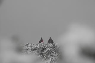 Zima wróciła w Karkonosze. Mróz i śnieg w wysokich partiach gór 