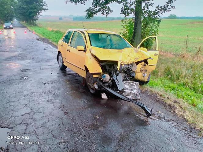 Kierowca osobówki wbił się w drzewo! Dramatyczny wypadek pod Grudziądzem