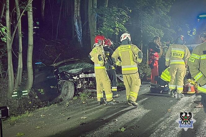 Samochód ściął drzewo, silnik wypadł spod maski
