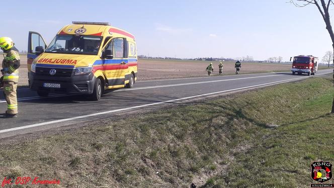 Jechali z dziadkiem na wycieczkę. Zginęli w zderzeniu z tirem