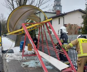 Wypadek autobusu. Staranował przystanek