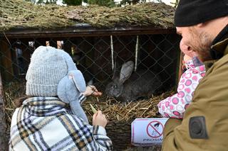 Żywa szopka w Szczecinie