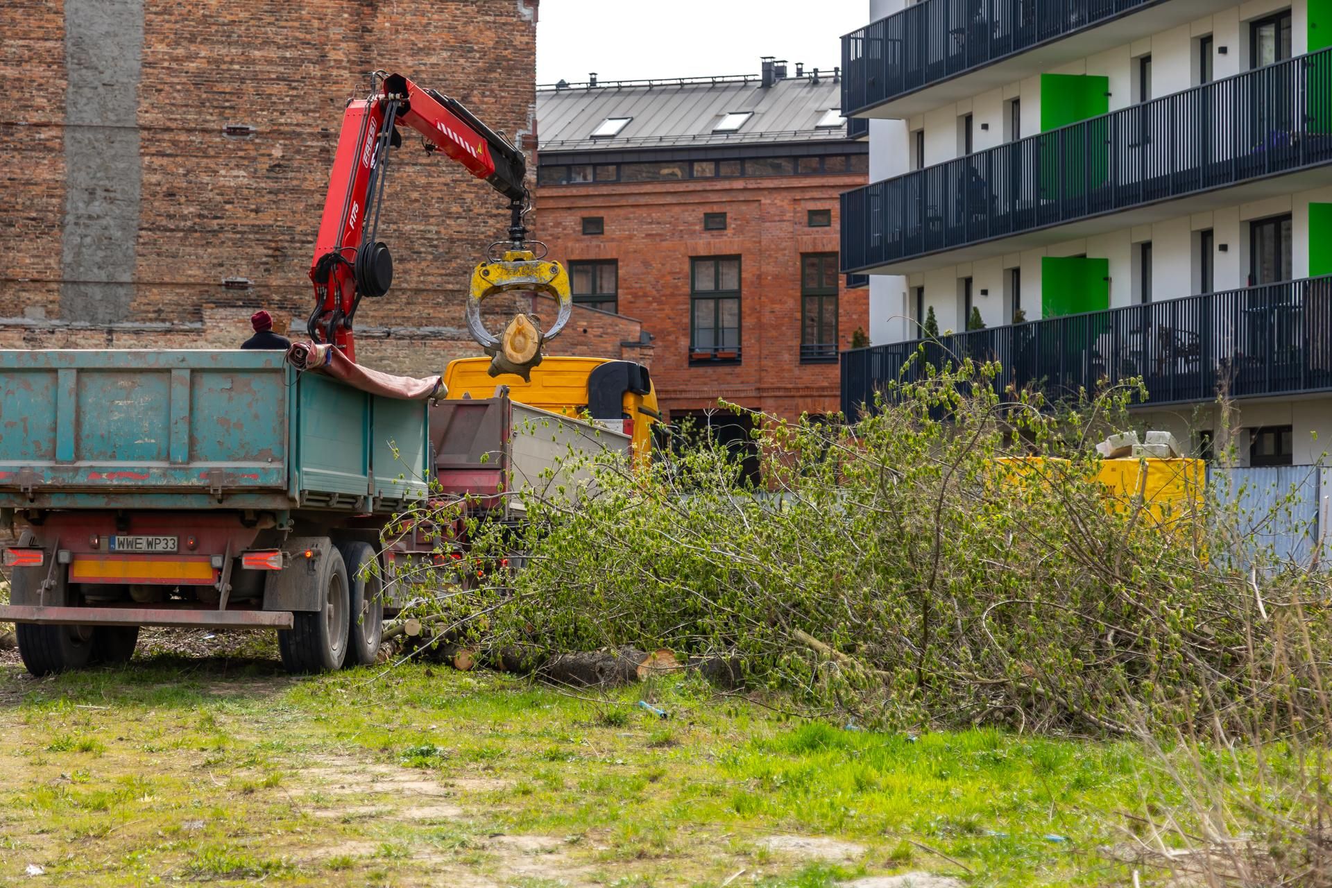 Nielegalna wycinka drzew przy ul. Radzymińskiej 14 w Warszawie