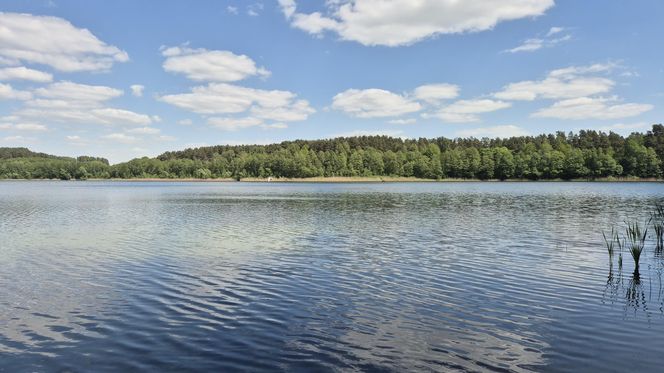 To jezioro w Olsztynie ma niezwykle czystą wodę. Jest kilka dzikich plaż, które świecą pustkami