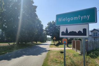 Wielgomłyny