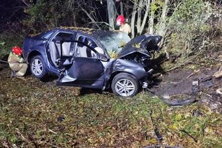 Śmiertelny wypadek pod Bełchatowem. 29-latka uderzyła audi w drzewo [ZDJĘCIA]