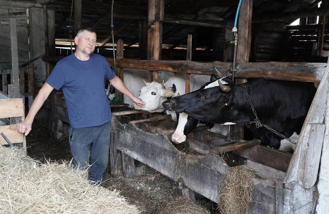 Wilki w rejonie Puszczy Knyszyńskiej. Mieszkańcy alarmują