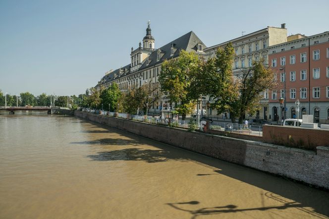 Który budynek we Wrocławiu jest najpiękniejszy? Sztuczna inteligencja wskazuje na ten obiekt 