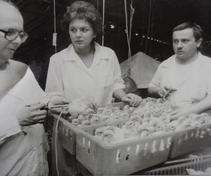 Malownicza gmina pod Olsztynem przyciąga tłumy turystów. Tak dawniej wyglądała