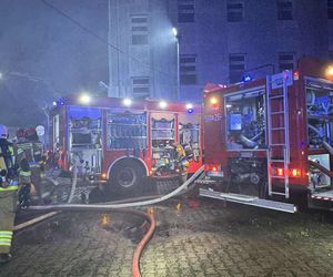 Na szczęście w pożarze hali w Kałuszynie nikt nie zginął
