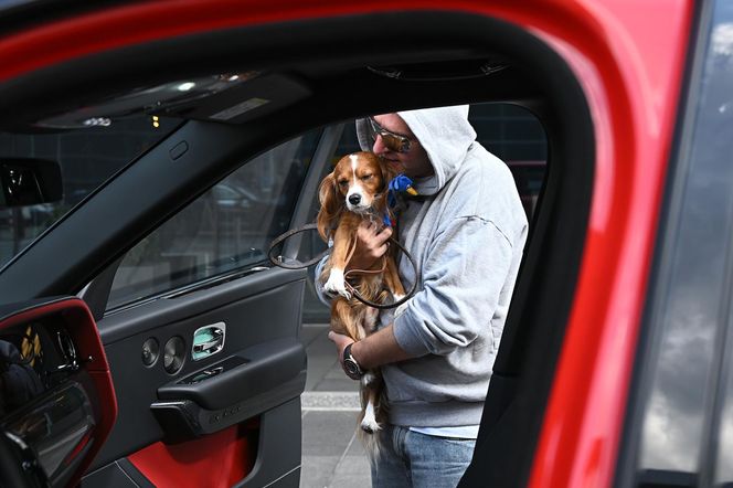 Krzysztof Gojdź przyleciał do Polski