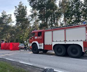 Koszmar pod Włodawą. Roztrzaskali się czołowo. Życie dwóch osób zgasło w jednej chwili