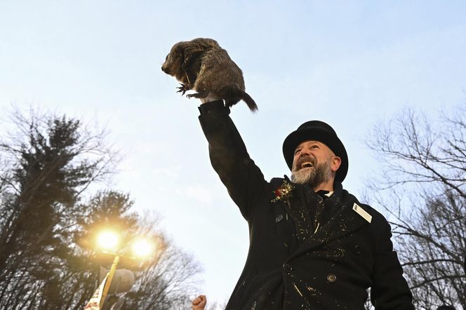 Świstak przepowiedział sześć tygodni zimy