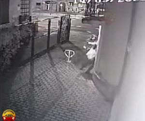 Bandzior napadł panią Natalię i zaczął ją dusić. Kobieta pogoniła drania
