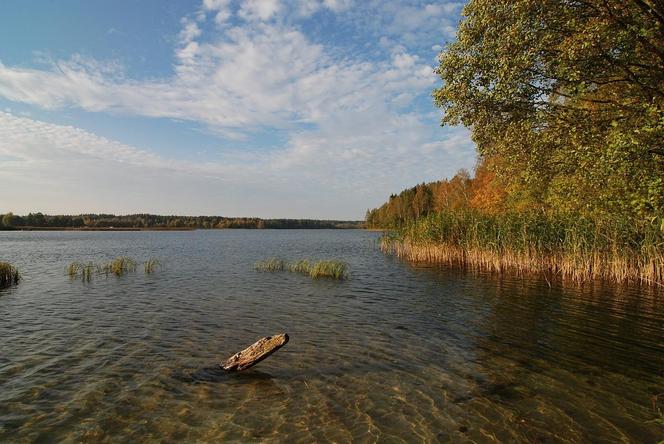 To najczystsze jeziora w Polsce. Znajdują się na Podlasiu!