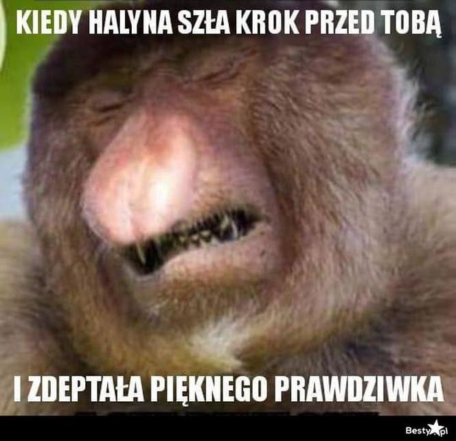 Nóż się w kieszeni otwiera i Janusz i szykuje się na grzyby! MEMY o grzybobraniu [GALERIA]
