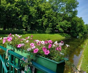Park Miejski w Zamościu