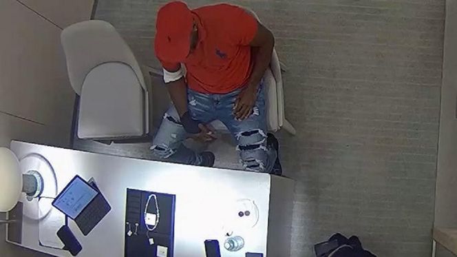 Ukradł diamentowe kolczyki i je połknął. Policja w końcu je odzyskała