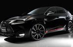 Lexus NX by Wald International