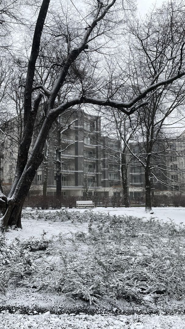 Permumiarnia w Poznaniu