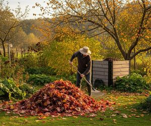 Jak zrobić kompost z liści?