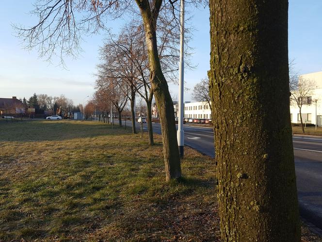  Ciężki sprzęt już na placu budowy. Rozpoczyna się przebudowa Fabrycznej w Lesznie