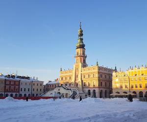 Nowy dyrektor w zamojskim ratuszu