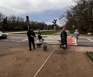 Święta Bożego Narodzenia na szczecińskich Jasnych Błoniach