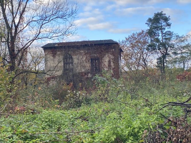 Zamek w Dąbrówce Starzeńskiej